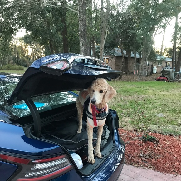 Meet your Posher, Tracy - Picture 2 of 2